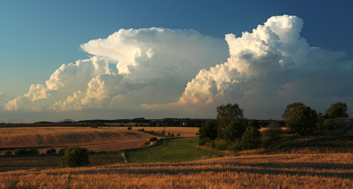 Ohlédnutí za sezónou 2012, část II.