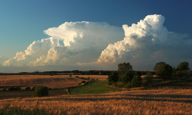 Ohlédnutí za sezónou 2012, část II.