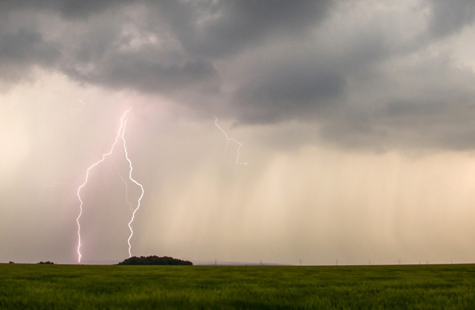 Odpolední lov na Lounsku 6. 6. 2019