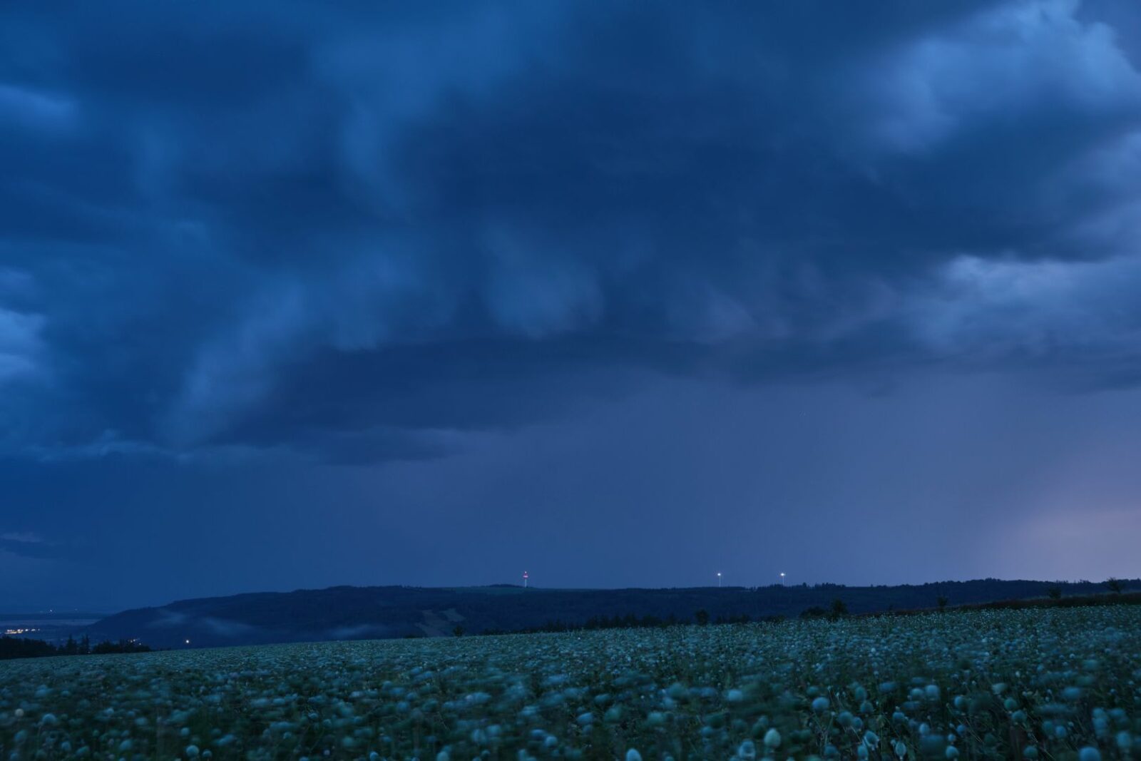 © Zbyněk Černoch