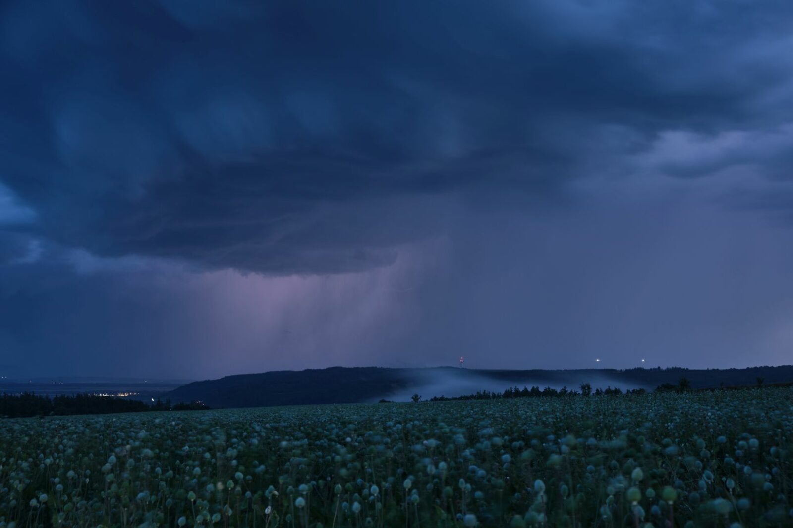 © Zbyněk Černoch
