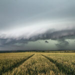 „Zelený shelf“ 13. 7. 2021