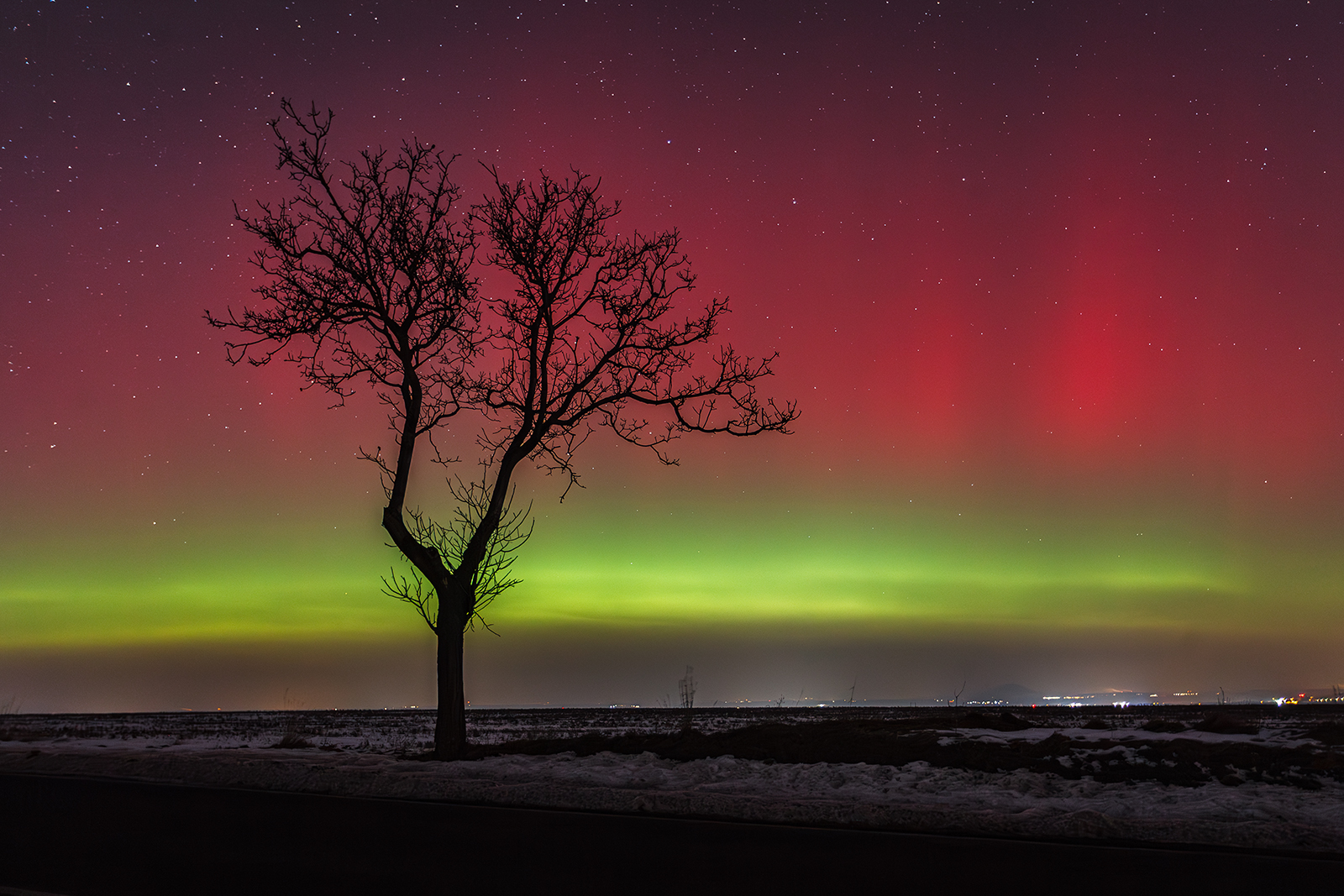 © Dagmar Drahokoupilová