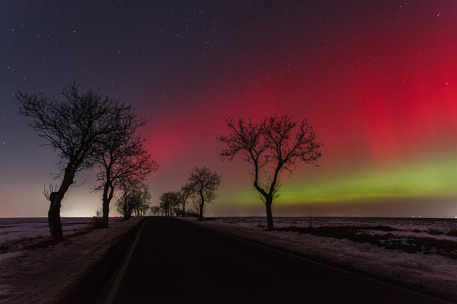 © Dagmar Drahokoupilová