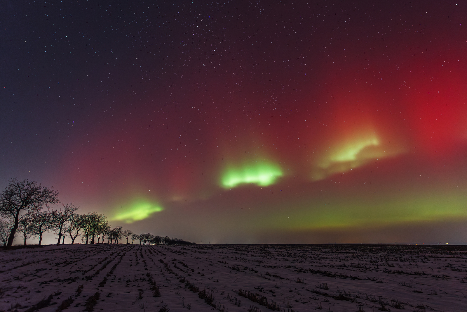 © Dagmar Drahokoupilová