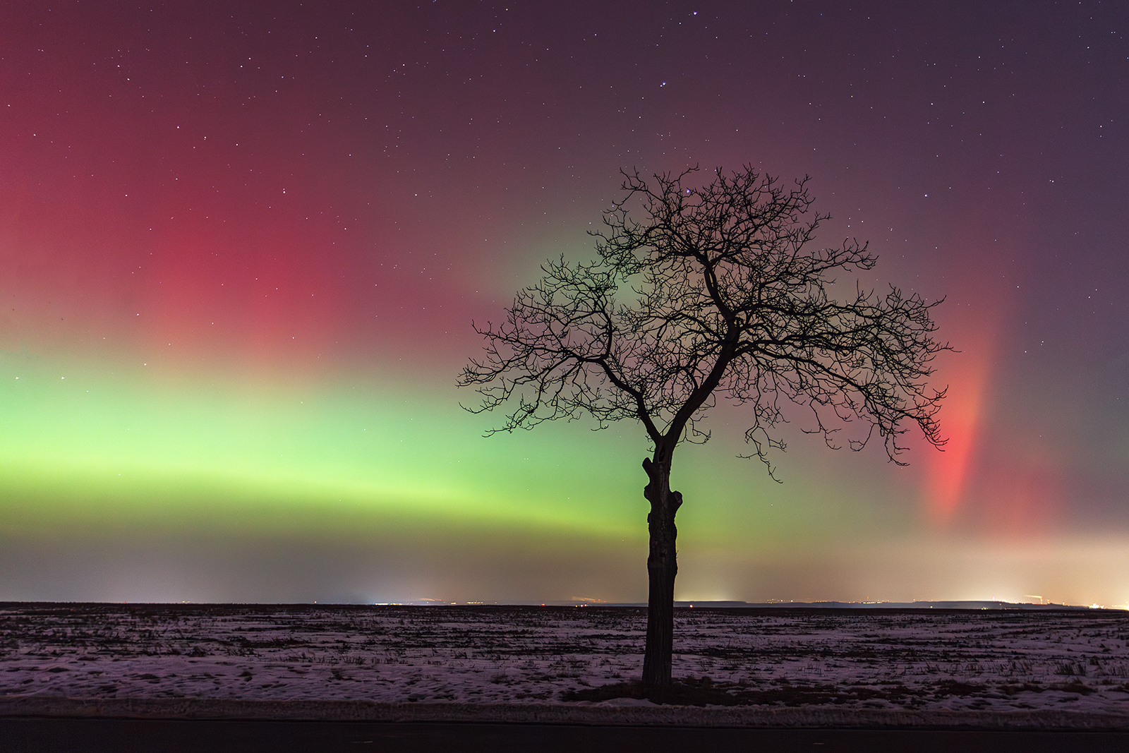 © Dagmar Drahokoupilová